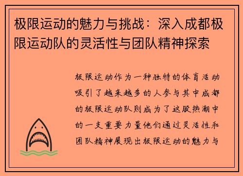 极限运动的魅力与挑战：深入成都极限运动队的灵活性与团队精神探索